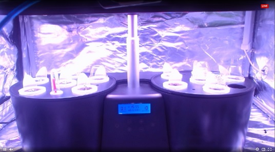 Système de culture hydroponique Smart Control avec LEDs à spectre complet – Image 5