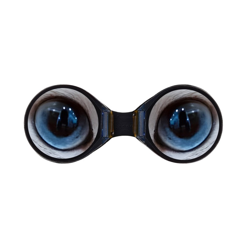 Waveshare 0.71" Dual Eye Display – 2× écrans IPS ronds avec 160×160 px, GC9D01, SPI