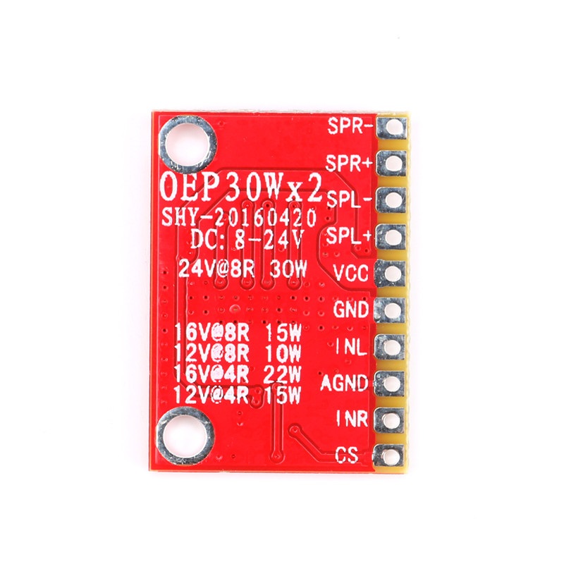 Module amplificateur stéréo numérique OEP30W*2 – Image 2
