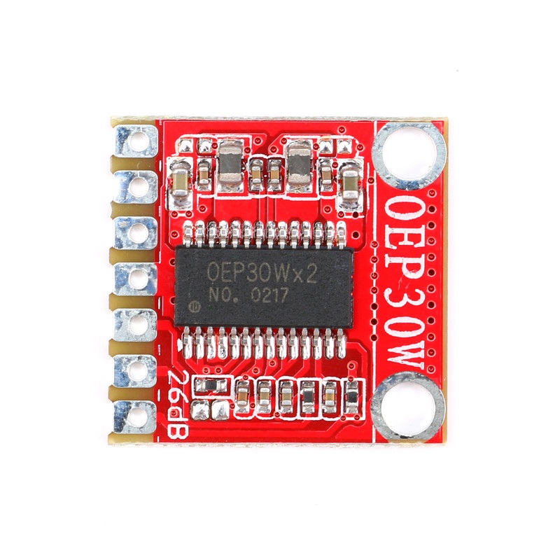Module amplificateur mono numérique OEP30W – Image 2