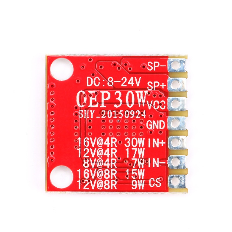 Module amplificateur mono numérique OEP30W – Image 4