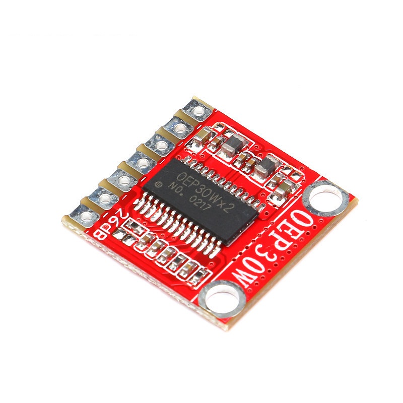 Module amplificateur mono numérique OEP30W