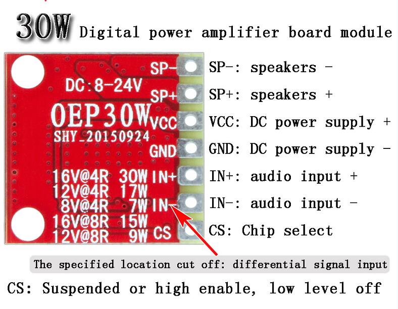 Module amplificateur mono numérique OEP30W – Image 3