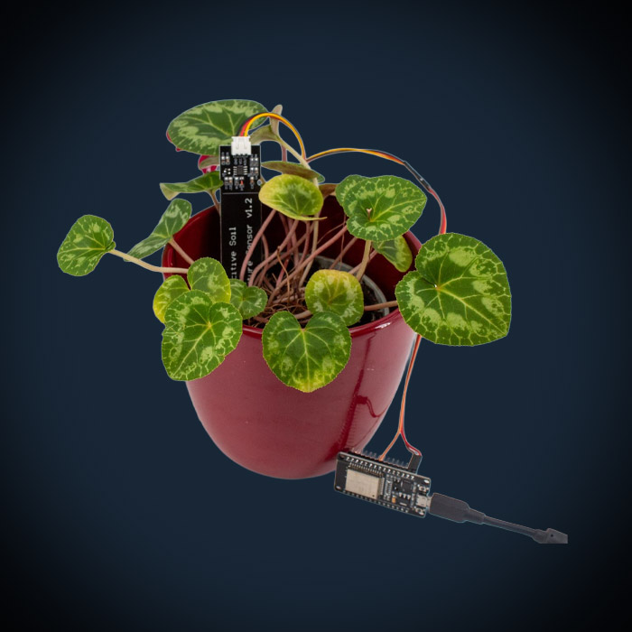 Le kit de surveillance intelligente des plantes